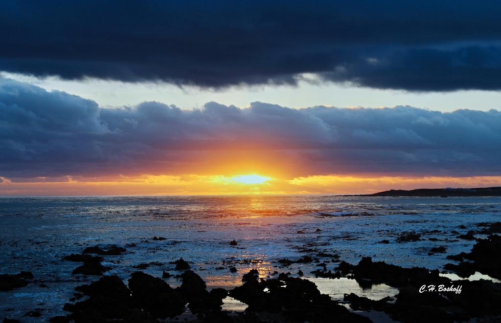 Walkerbay Accommodation Gansbaai Exterior foto
