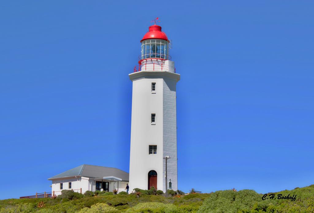 Walkerbay Accommodation Gansbaai Exterior foto
