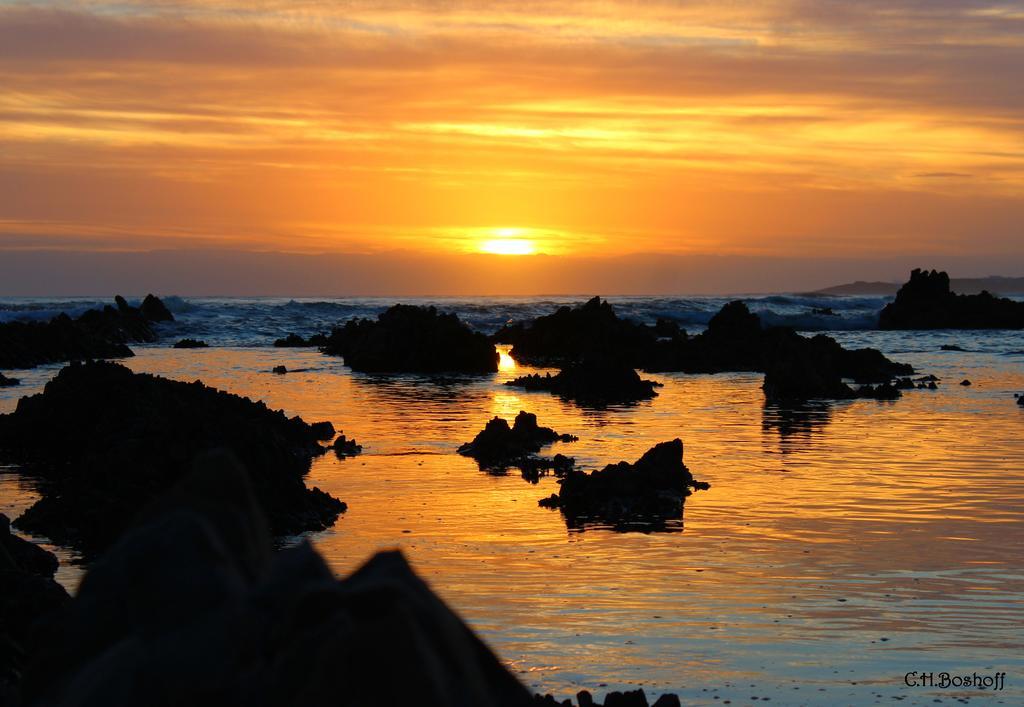 Walkerbay Accommodation Gansbaai Exterior foto